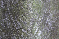 Balderstone fibreglass roof work